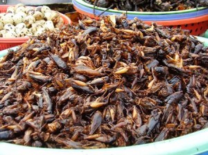 Crickets are a snack food in Cambodia and Vietnam