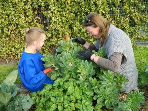 About Gardening 4 Kids