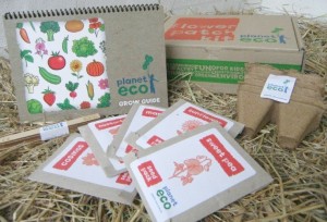 Planet-eco flower patch kit