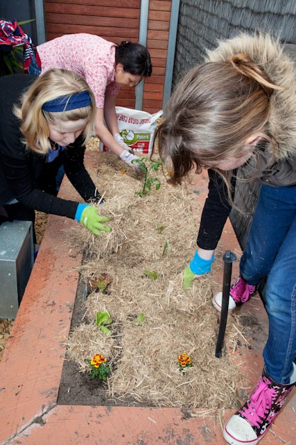 holidays gardening ideas for kids