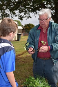 Junior Landcare's Greg Grimes and a student from Martin Luther Primary School