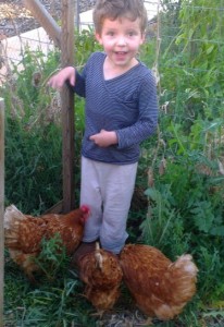 Kids love chickens