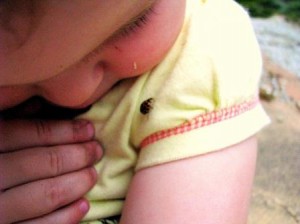 Kids and ladybugs