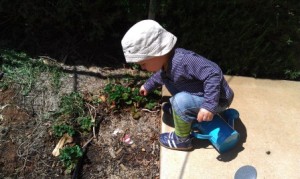 Gardening is fun for our toddler
