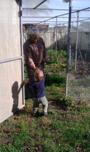 Intergenerational gardening is great for all ages