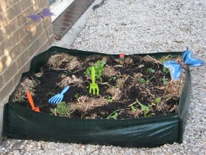 Plant seedlings in the no-dig garden kids will enjoy