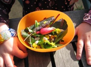 marigolds, sunflower seeds and lavendar are great in salads