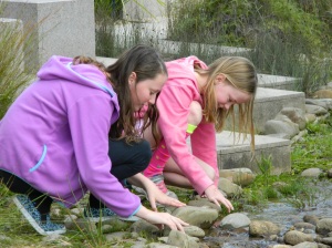 girls looking in creek at cranbourne bot gardens