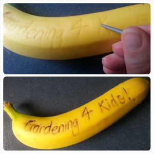Message on a Banana