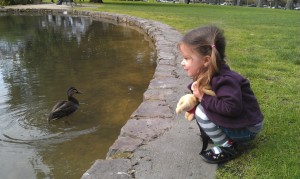 Kids and ducks Ducks in the pond