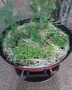 Kettle BBQ Herb Planter