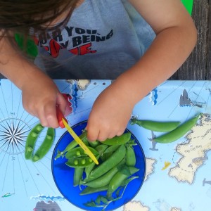 Choppping snow peas