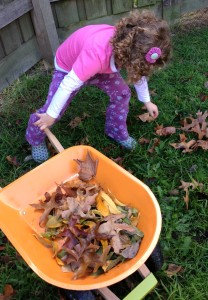 Collecting autumn leaves kids