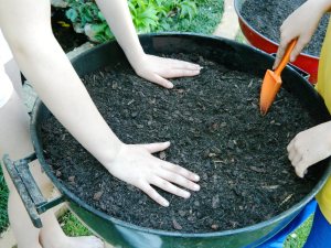 BBQ Herb Planter