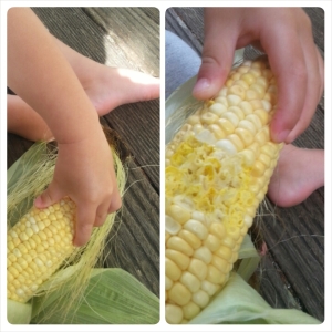 Sweet Corn are as much fun to peel as they to eat!