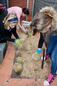 Summer gardening activities for children