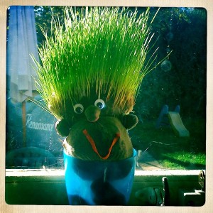 Grass heads for kids Grass heads for children to make