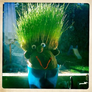 Grass heads for children to make