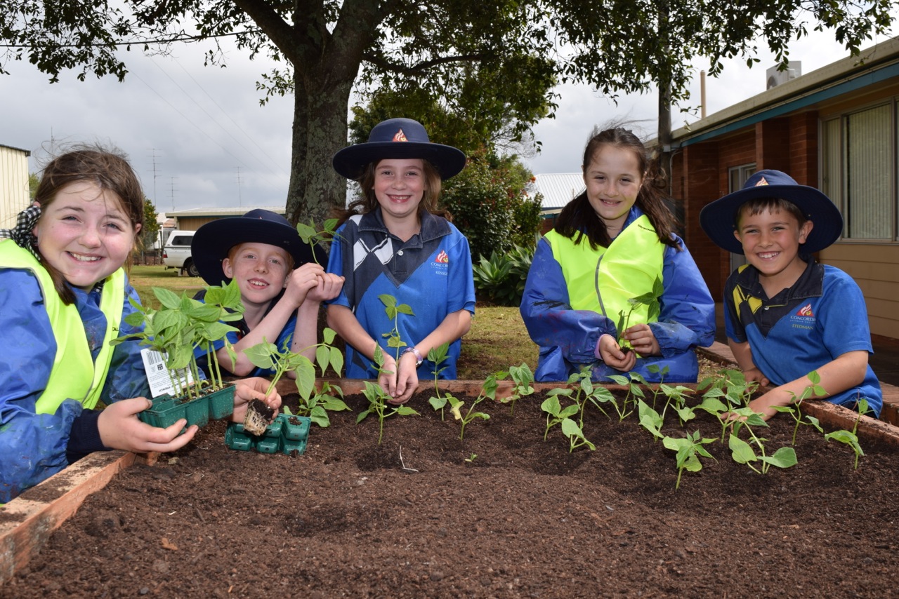 Queensland Students put Healthy Eating Back on the Table - Gardening 4 Kids