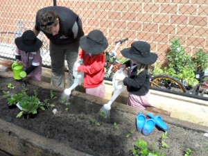Kids working in the Hillarys Early Learning Centre garden Hillarys Early Learning Centre garden