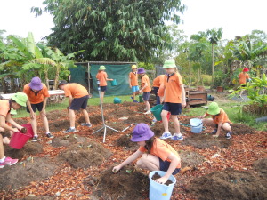 No Dig Vegetable Garden