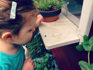 Slaters, woodlice, roly polys, butcy boys Slaters are intriguing for children.
