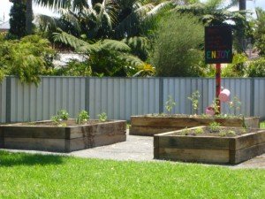 The Laneway Park raised garden beds