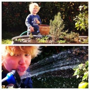 Watering the garden is a task kids love