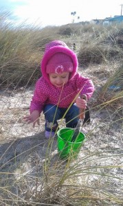 Tree planting on foreshore National Tree Day planting