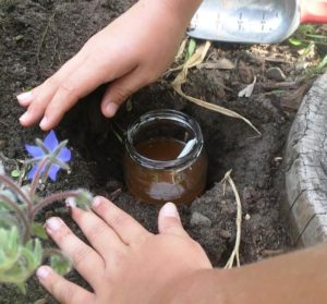 Vegemite snail trap