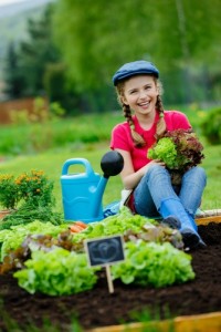 Junior Landcare Winter Vegie Challenge