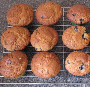 blueberry muffins An easy blueberry muffin recipe the kids can help make