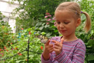 butterfly garden for children
