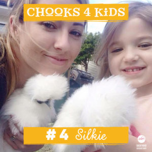 chooks-4-kids-4