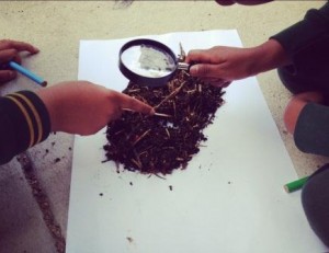 school garden compost for kids