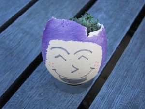 Gardening 4 Kids Cress Egg Head Making Cress Egg Heads is Fun for Kids