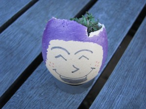 Making Cress Egg Heads is Fun for Kids