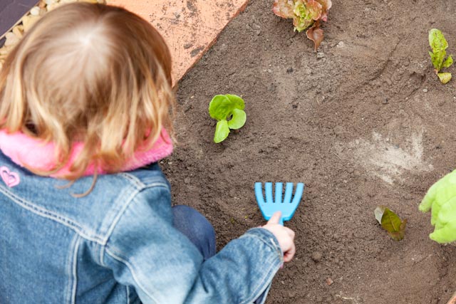 What to plant in February What to plant in February