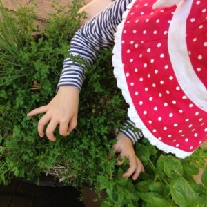 Herbs for kids