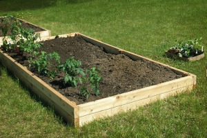 Mackenzie's kids love to dig in the raised garden beds