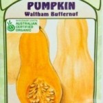 organic pumpkin seeds