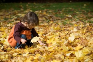 Autumn is here