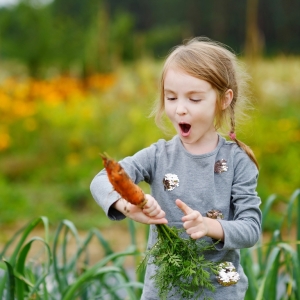 Yates Junior Landcare Winter Vegie Growing Challenge