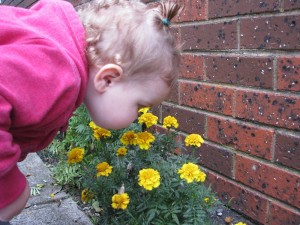 Take time to smell the flowers