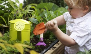 Fun In The Garden